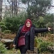 prof d'arabe (primaire, collège, lycée, université)